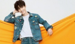 肖战和杨幂最新爆料图片,时尚大片曝光，魅力四射引热议