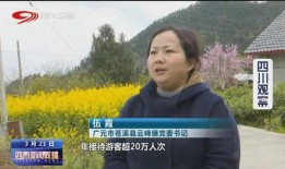 苍溪最新新闻爆料,揭秘当地重大事件真相